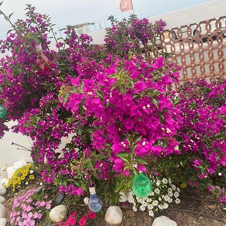 Maison Armandi Montemarciano Ngoại thất bức ảnh